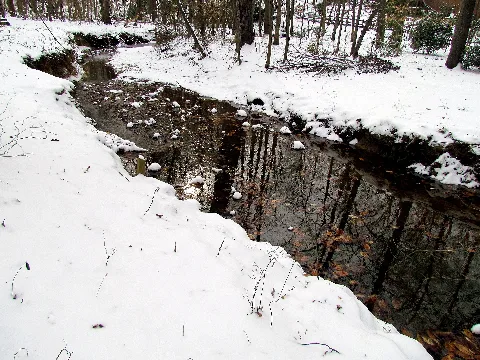 01 Snow Cary Nc 7927 (12484649604)
