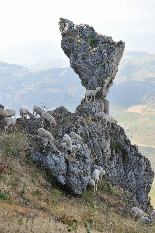041 Caltabellotta (Sicily)
