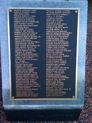 1St50Thinbattalionvietnammemorial3