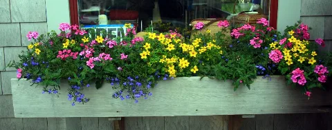2008 Windowbox Nantucket 2632520910