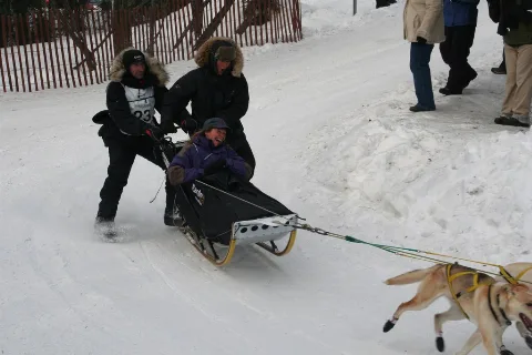 2011 Iditarod (5501740010)