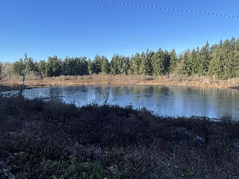2022 12 16 Peterson Lake Of King County, Washington, 08