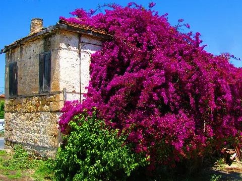 52488213 Panoramio