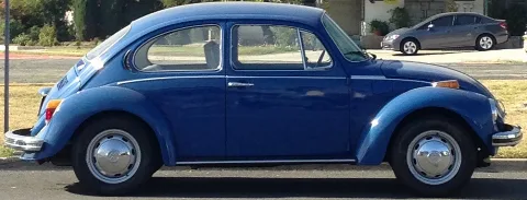 A Little Bug
