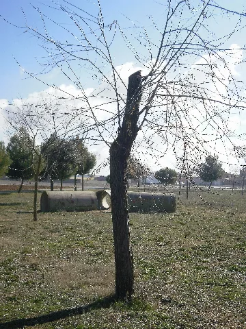 A Medio Día En El Parque De Doña Elvira Panoramio