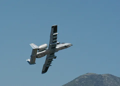 A10 Warthog (165991605)