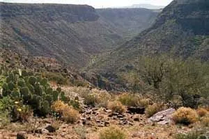 Aguafriacan