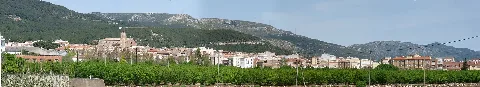 Alcoverpanoramic