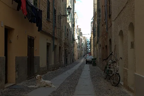 Alghero (4455564134)
