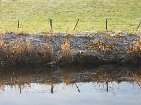 Allan Water By Ashfield Geograph.org.uk 103909