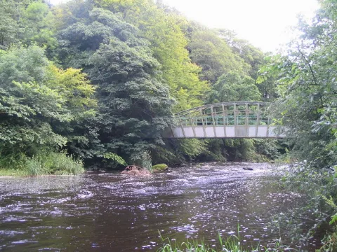 Almondell And Calder Wood Country Park Geograph.org.uk 503059