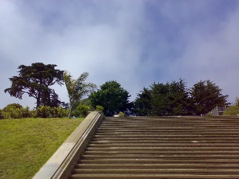 Alta Plaza Looks Mayan