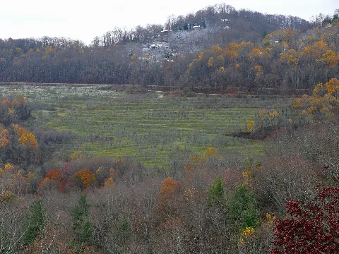Altapass Orchard 27527