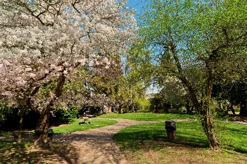 Alvin Larkins Park, Seattle, March 2013