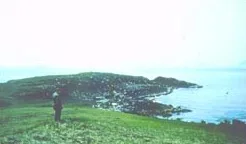Anangula Site