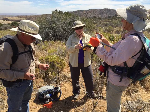 Angeles Nf Archaeological Survey (27788080171)