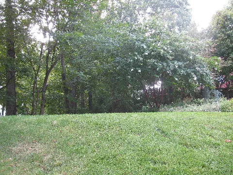 Arlingtonridgepark001