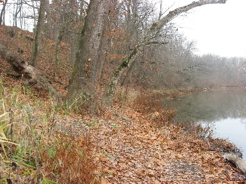 Auglaize Riverbank At Fort Amanda