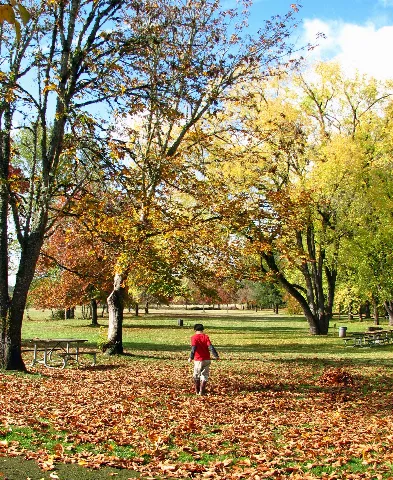Autumn Play Molalla River Sp Oregon
