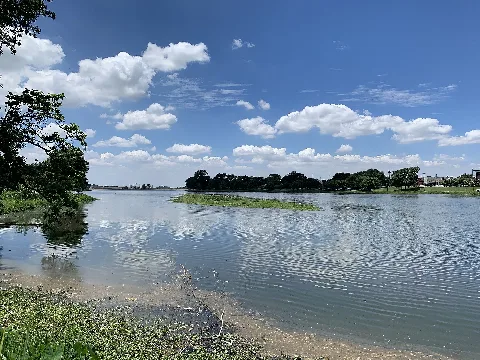 Bachman Lake Island