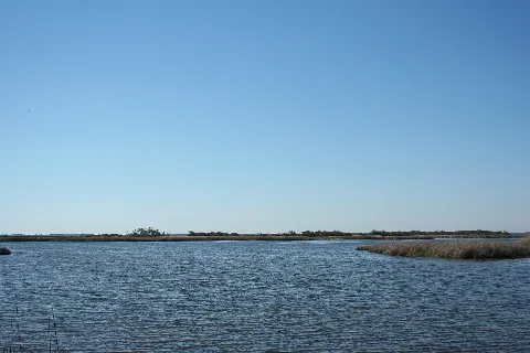 Back Bay National Wildlife Refuge (2947663647)