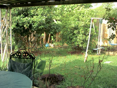 Back Yard Panoramio