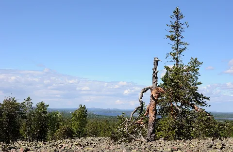Bälingeberget