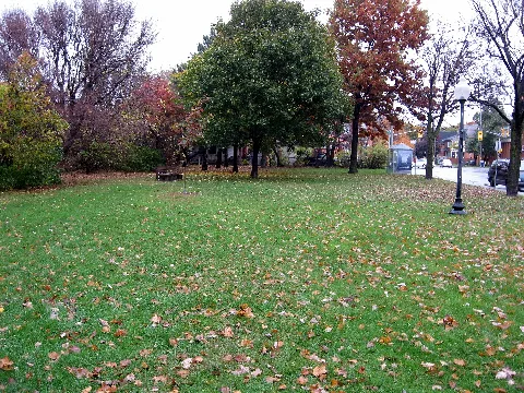 Ballantyne Park