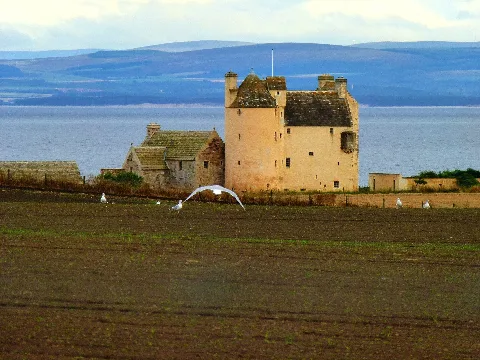 Ballone Castle Panoramio