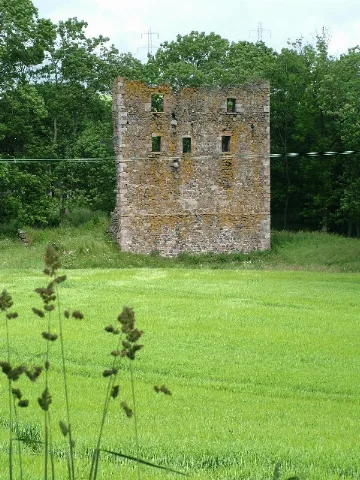 Balquhain Castle Wall Geograph.org.uk 29188