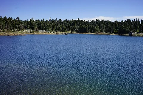Balsam Forebay Above Shaver Lake