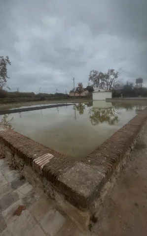 Bassanova09