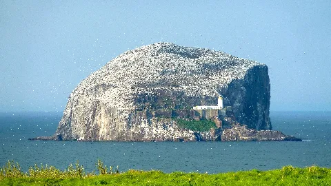 Bassrocknb