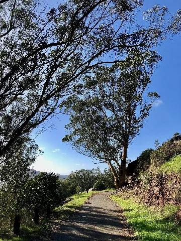 Bayview Park February 2018 (6908)
