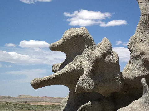 Bear And ?, Closeup, Fantasy Canyon, Utah