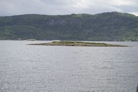 Bekkeskjæret Medium Statens Naturoppsyn