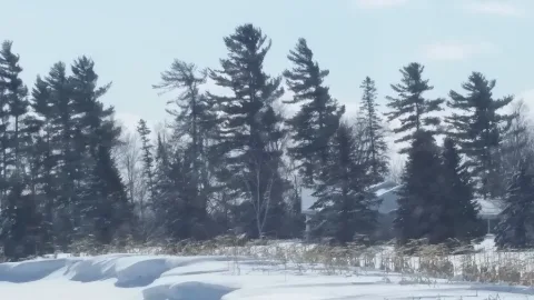Bells Corners In Ottawa