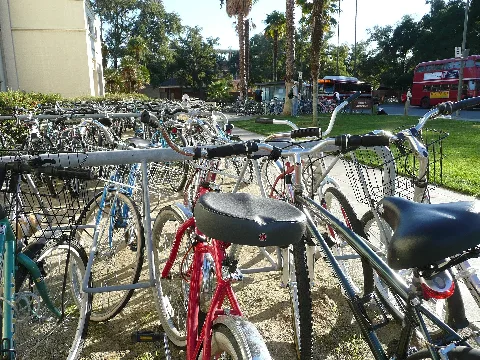 Bicycles, Uc Davis
