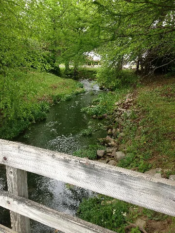 Big Springs