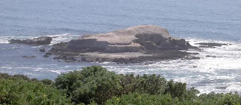 Birdrock3339