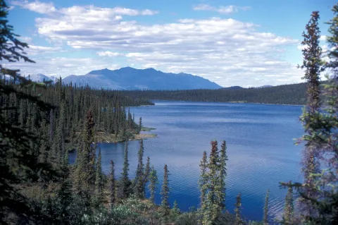 Black Fish Lake