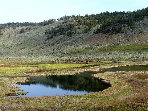 Blacktail Ponds