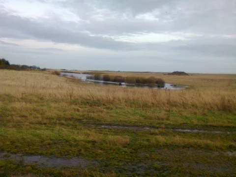 Blindwells