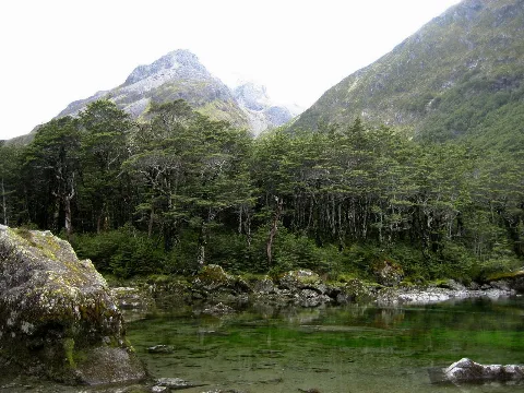 Blue Lake Nelson New Zealand