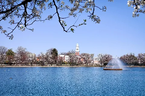 Boat Lake In Byrd Park