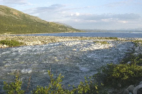 Brennelva