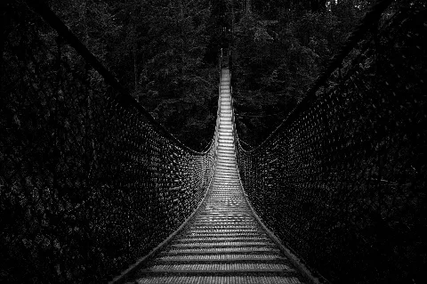 Bridge British Columbia July 2011