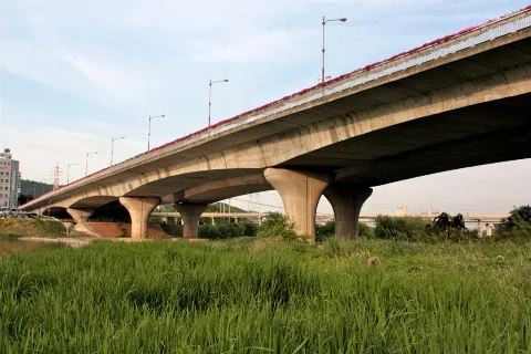 Bridge In Ulsan