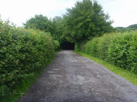 Bridleway To Limekiln Wood Geograph.org.uk 488970