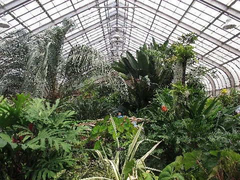 Brookside Gardens In June (18595872359)
